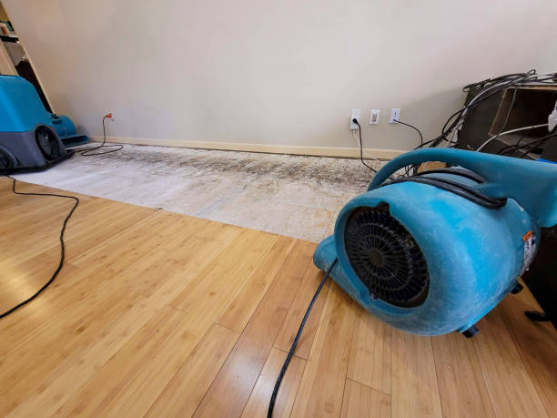 Professional Ceiling Water Damage Repair technician working in Lake Hughes, CA